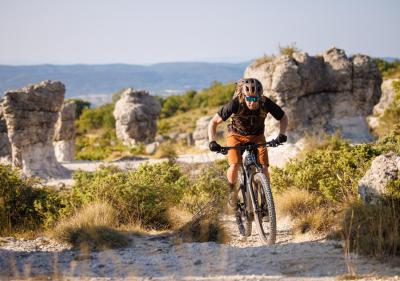 Vorschau des Gutschein-Designs